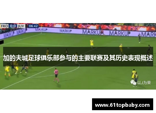 加的夫城足球俱乐部参与的主要联赛及其历史表现概述